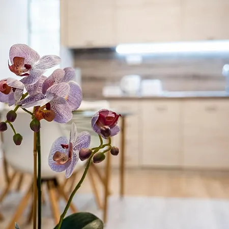 Aquamarine Apartament Warna