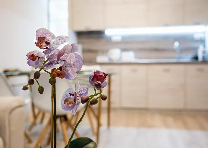 Aquamarine Apartament Warna